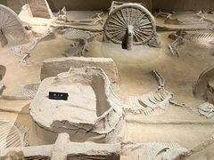 -洛阳周王城天子驾六博物馆