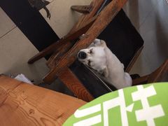 北方国际青年旅舍-哈尔滨北方国际青年旅舍(中央大街店)