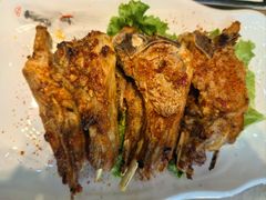 -伊帆食府·青海地方特色美食