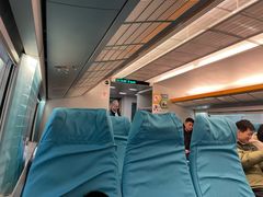 -龙阳路磁悬浮列车总站-停车场