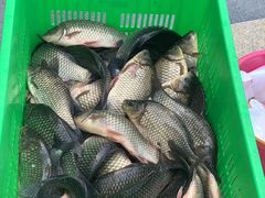 -光明食品集团有限公司