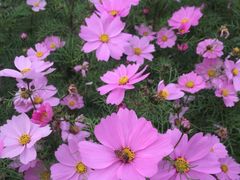 -安源路矿工人运动纪念馆