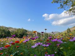 -三亚南山文化旅游区