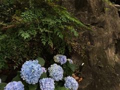 -广州市白云山风景名胜区