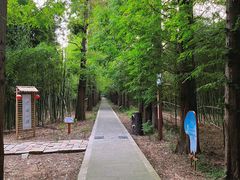 -同里国家湿地公园