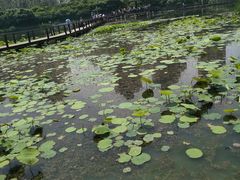 -前关湿地公园