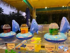-珠海长隆海洋王国