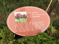-济南植物园
