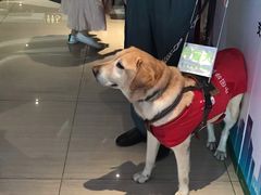 -百丽宫影城(CGS激光苏宁广场店)