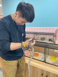 -Moni星球萌宠·小马宝莉·灵蛇·高端高阶全萌宠互动体验俱乐部(红豆国际广场店)