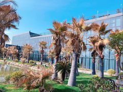 -桃园农庄·桃源宴