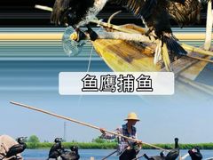 -白洋淀景区