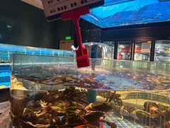 -海立阁海鲜江浙菜(漕河泾印象城店)