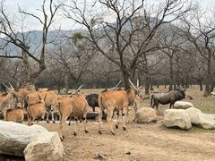 -西安秦岭野生动物园