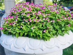 -上海怡沁园度假酒店