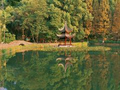 -忠山公园