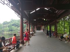 -重庆彩云湖湿地公园