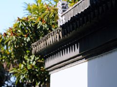 -树山生态村