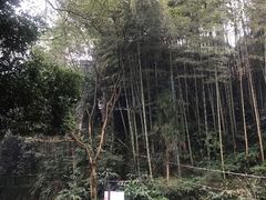 -范记豆花庄(东门好吃街店)