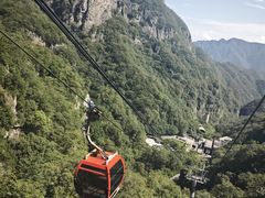 -牛背梁国家森林公园