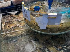 -健跳小海鲜(人民路店)