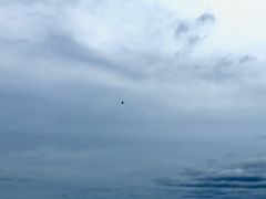 -白城沙滩