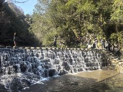 -石台牯牛降景区