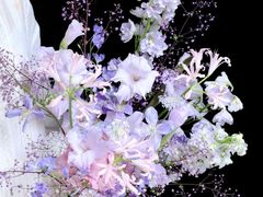 -Flower in(密渡桥店)