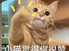 -海底捞火锅(百利广场店)