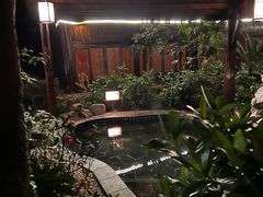 -明月山天沐温泉度假村