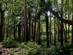 -上海共青森林公园