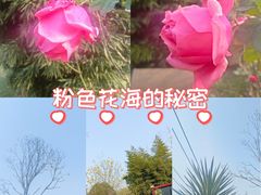 -成都仁和新城购物中心