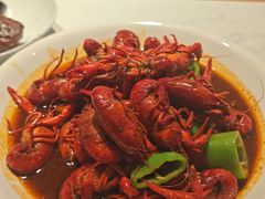 -杨氏青龙虾·羊蝎子(托乐嘉店)