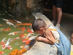 -正佳雨林生态植物园