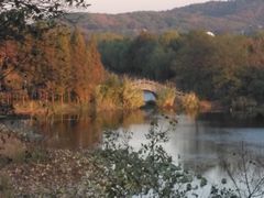 -上海市保健医疗中心