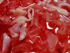 九尺鹅肠-蜀九香火锅(彩虹店)