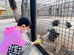 -石家庄市动物园