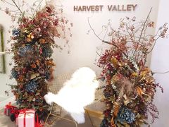 -执茶识麦(万达华府店)