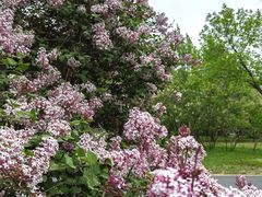 -国家植物园南园