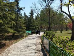 -泰丰公园