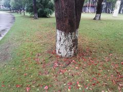 -Club Med地中海俱乐部·桂林度假村