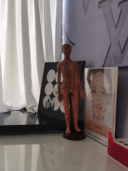 -斐尔国际皮肤管理中心