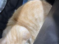 -宠颐生动物医院·小陆分院