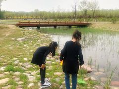 -东郊湿地公园