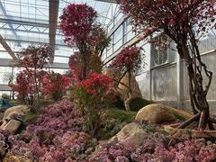 -沂蒙云瀑洞天景区