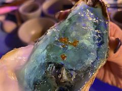 -千岛蚝高压锅生蚝·人参火锅(白云万达店)