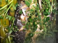 -匠子烤鱼(桫椤湾店)