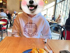 -JamaicaBlue(新城国际店)
