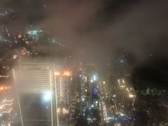 -顶鲜101美食美景餐厅