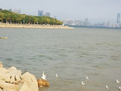 -深圳湾公园(南山区)